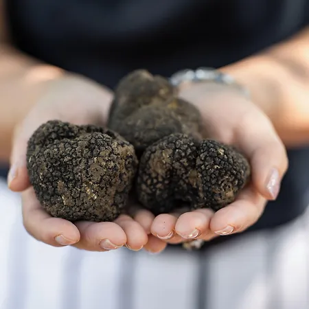 Ξενοδοχείο Divani Meteora 4*