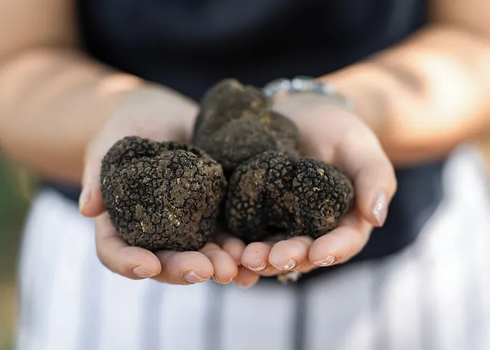 Hotel Divani Meteora 4*