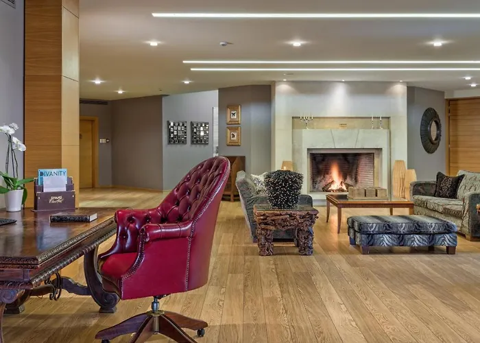 Divani Meteora Hotel